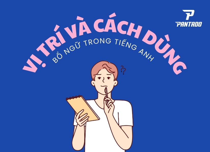 Vị trí và cách dùng bổ ngữ trong tiếng Anh